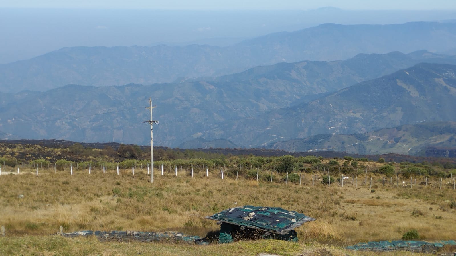 Incendios forestales han afectado diferentes regiones del país, entre ellas, el departamento de Santander.